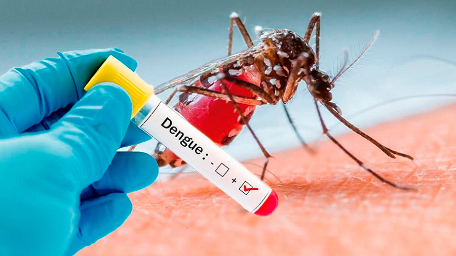 Dengue Hemorrágico: Síntomas, Tratamiento y Prevención